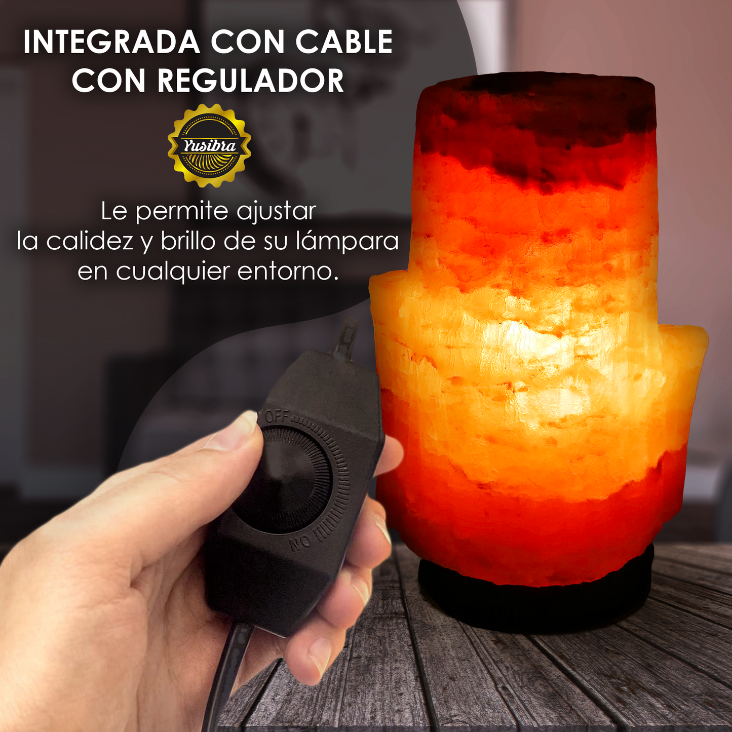 Lámpara de Sal Del Himalaya Figura Cactus | Con cable Regulador y Focos