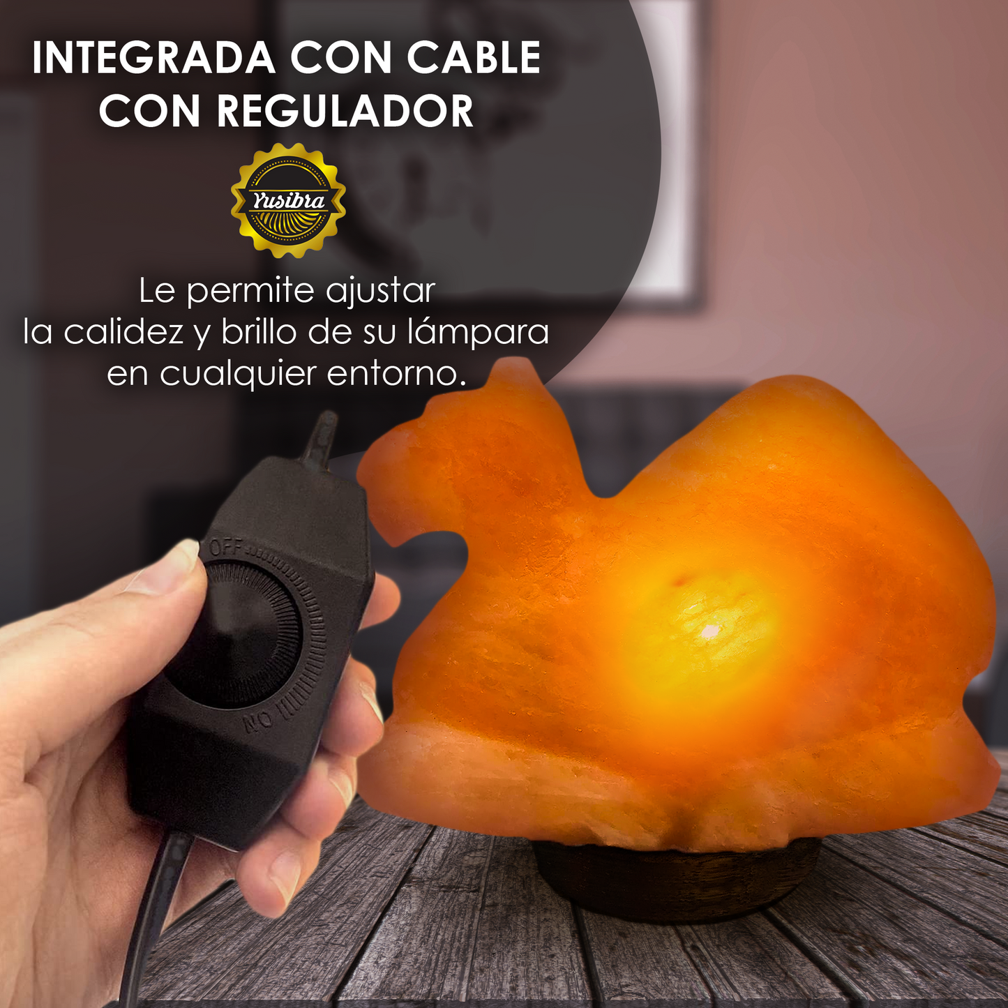 Lámpara de Sal Del Himalaya Figura Camello | Con cable Regulador y Focos