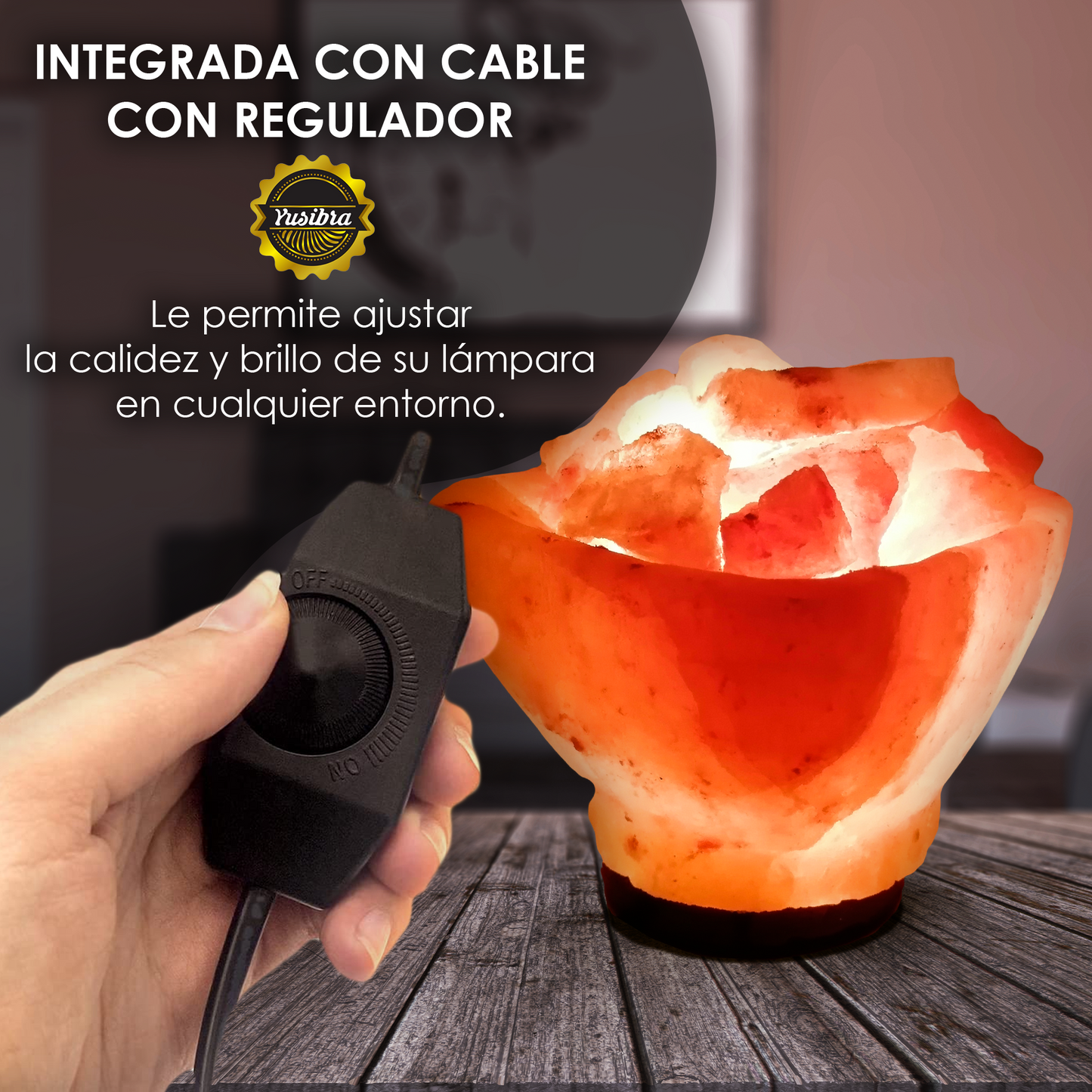 Lámpara de Sal Del Himalaya Figura Cuenco Corazón con Cuarzos de Sal | Con cable Regulador y Focos