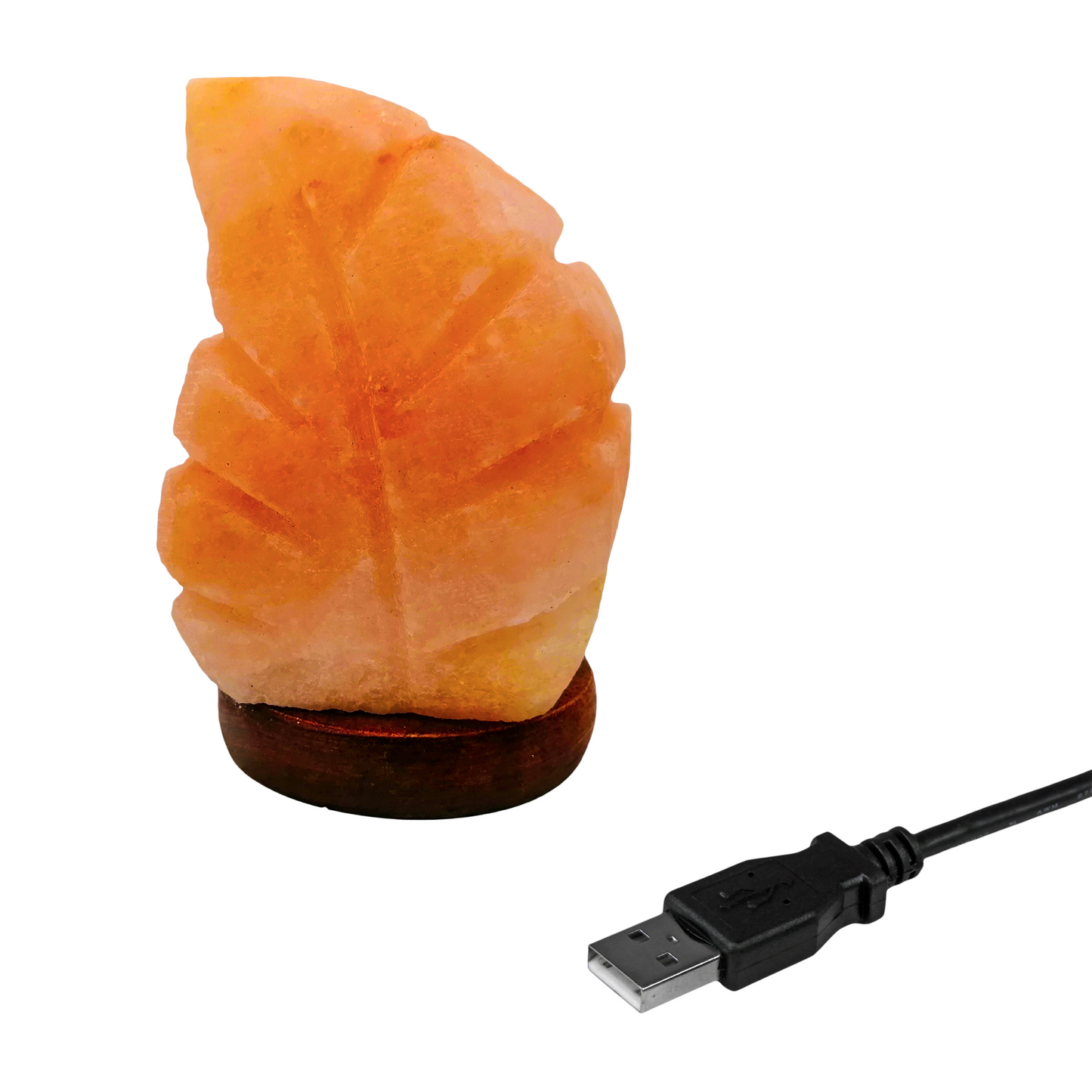 Lámpara de Sal Del Himalaya USB Figura Hoja con Foco LED