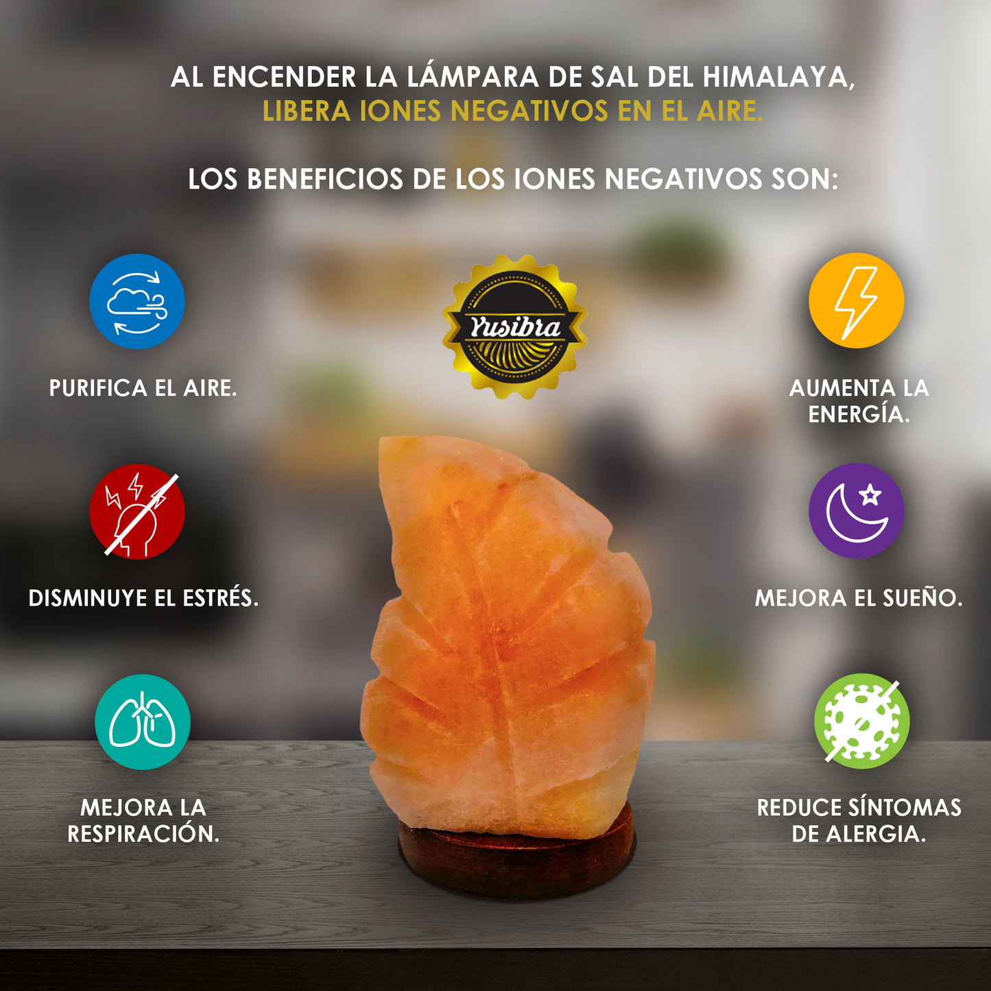 Lámpara de Sal Del Himalaya USB Figura Hoja con Foco LED