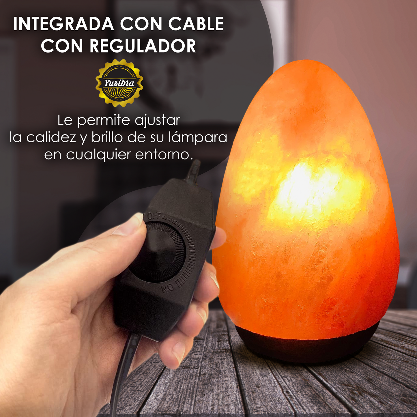 Lámpara de Sal Del Himalaya Figura Huevo | Con cable Regulador y Focos