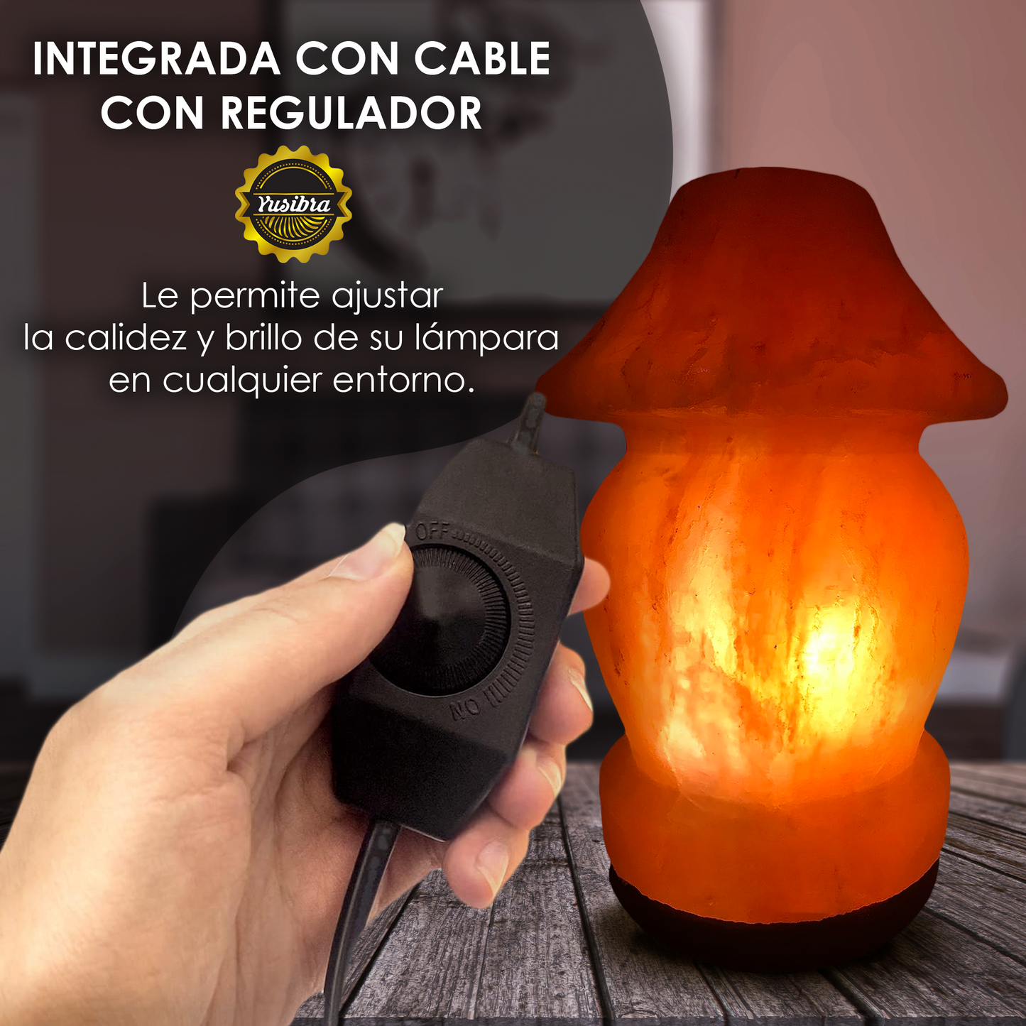 Lámpara de Sal Del Himalaya Figura Lámpara de Mesa | Con cable Regulador y Focos