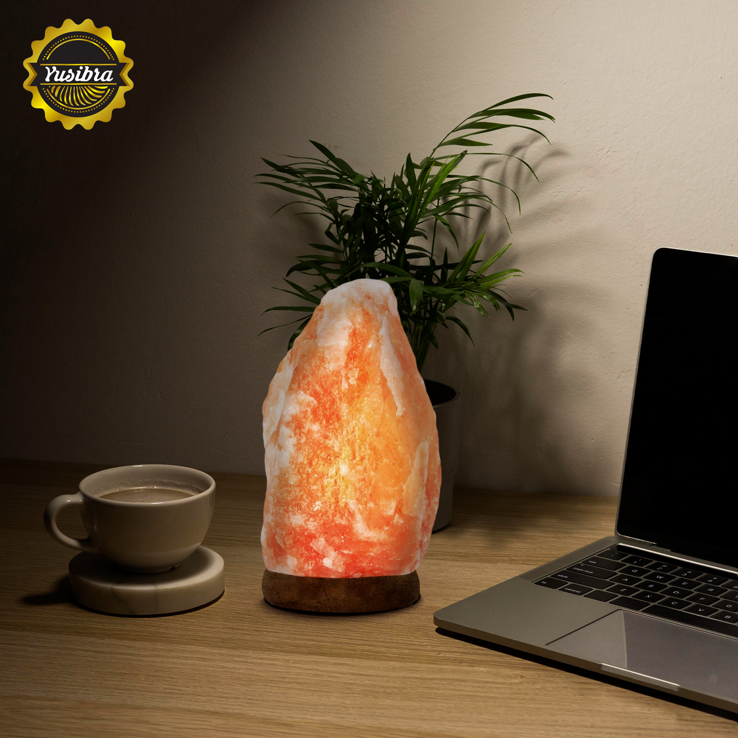 Lámpara de Sal Del Himalaya USB Figura Rústica con Foco LED